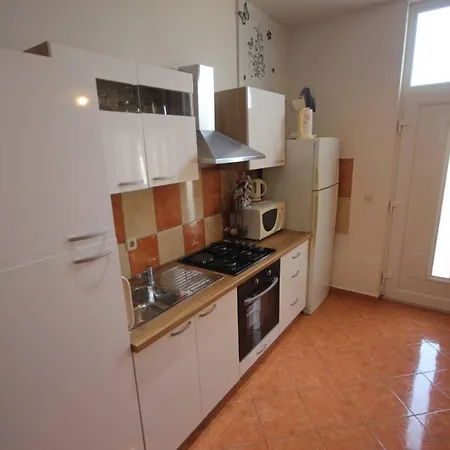 Family Mirela Borik *