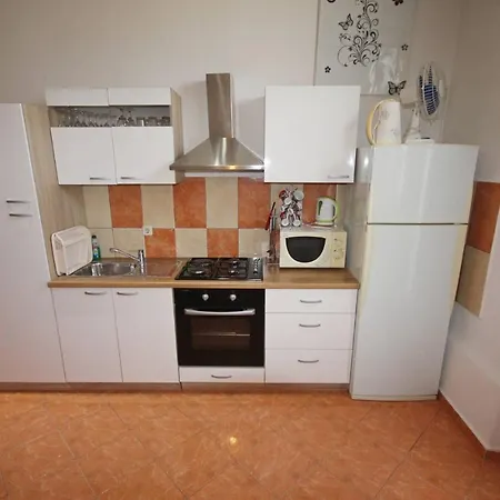 Family Mirela Borik Zara