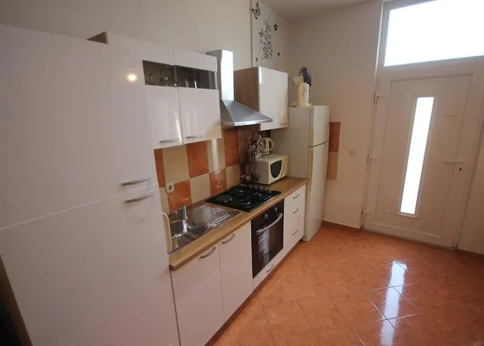 Family Mirela Borik *